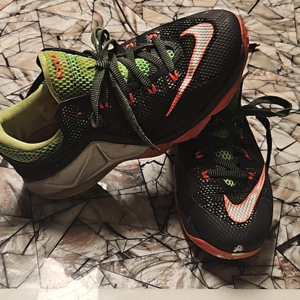 LeBron Sneakers